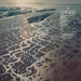 SHORE (OGV)