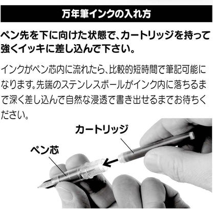 Platinum Plaisir Fountain Pen Pgb-1000 Blue Medium,1