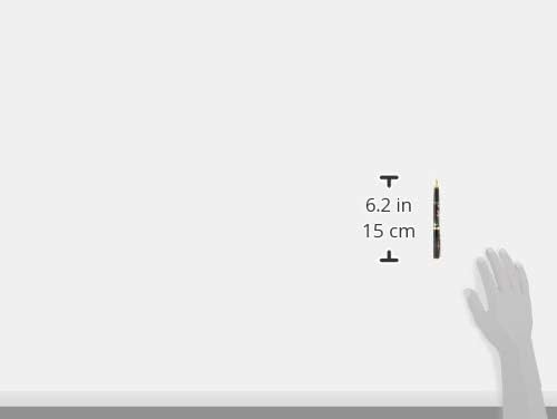 Platinum PTL-20000H#46-2 Fountain Pen, Bisatsu Modern Sowing Marker, Autumn Leaves, Fine Point