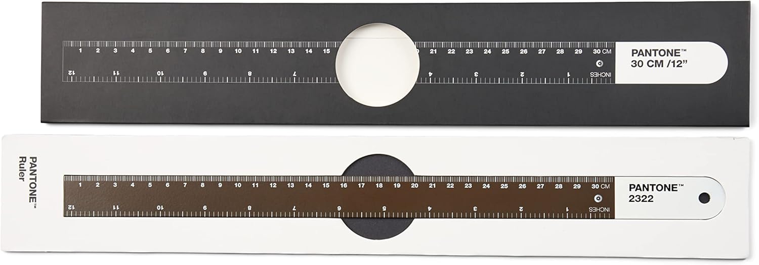 PANTONE 2322 Spring Steel Ruler 30 cm and 12 Inches Ideal for Office and Teaching Brown