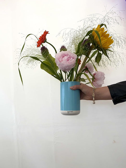 PANTONE Porcelain Vase with Gift Box, Jar, Decorative Flower Vase, 1 Litre, Light Blue 550