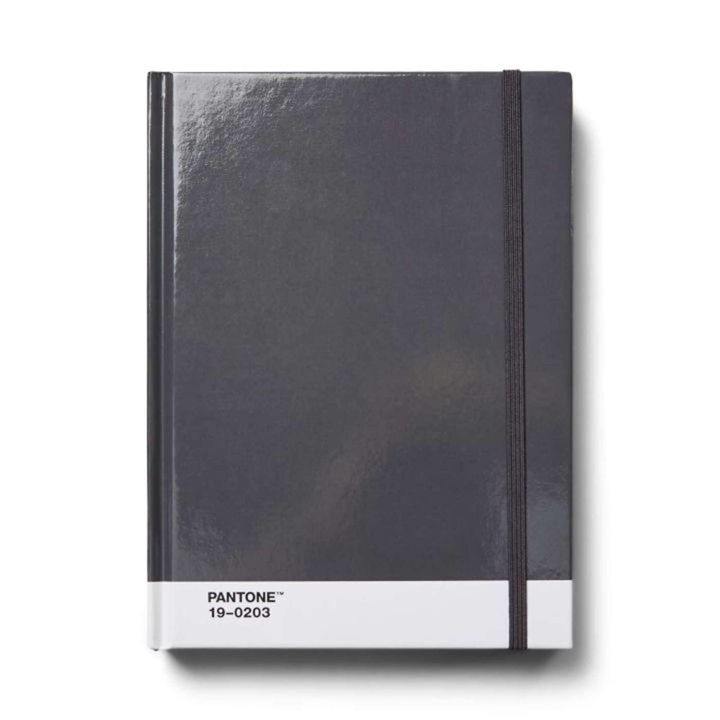 Copenhagen Design PANTONE Notebook L Unlined 96 Pages with Elastic Closure and Bookmark Grey 19-0203