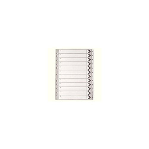 WX01529 A4 Mylar Index 1-12 White WX01529