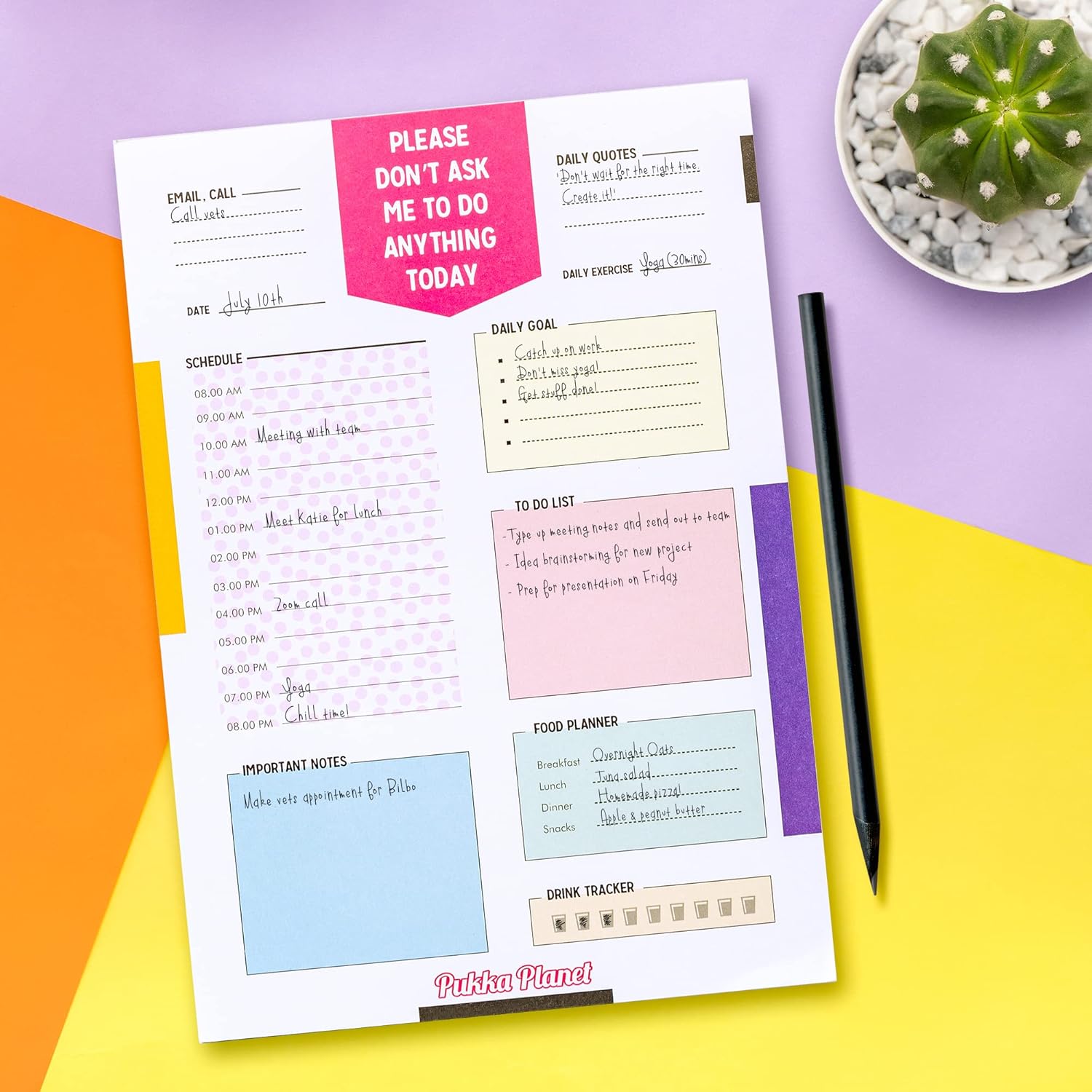 Pukka Pad, Pukka Planet B5 Daily Planner Pad Featuring 100% Recycled Paper with Space for Calls, Emails, Exercise, Goals, to-Go Lists, Notes, and Schedule – 25 x 19cm