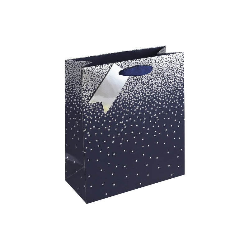 Eurowrap Navy Ombre Birthday Occasions Gift Bag with Silver Tag (Medium Bag Blue