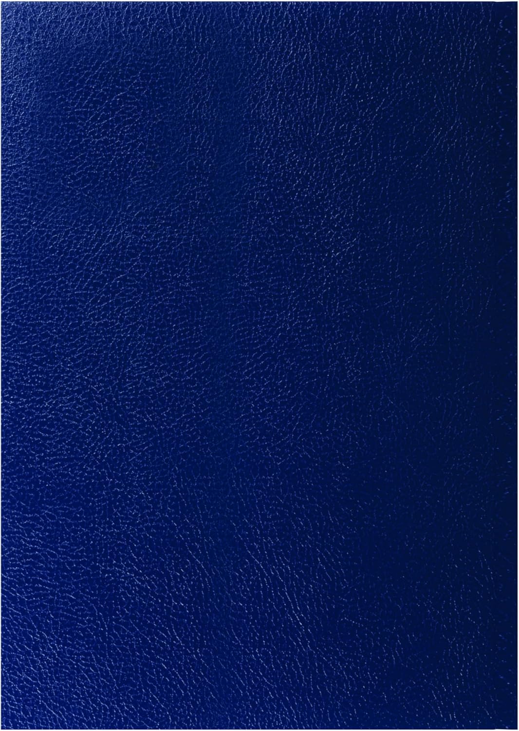 Collins 'Desk' 13 Month Mid/Academic Year Planner, July 2025-July 2026-44M.60-2526 -Day-to-Page Appointments Diary, A4 Hard Cover, Blue
