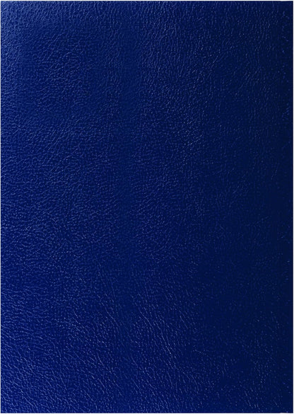 Collins 'Desk' 13 Month Mid/Academic Year Planner, July 2025-July 2026-44M.60-2526 -Day-to-Page Appointments Diary, A4 Hard Cover, Blue