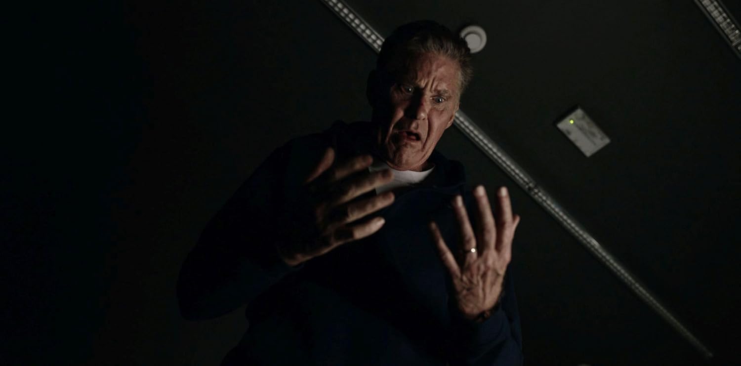 ALVART, CHRISTIAN - ZE NETWORK - DAVID HASSELHOFF ALS DAVID HASSELHOFF - MEDIABOOK A, TV