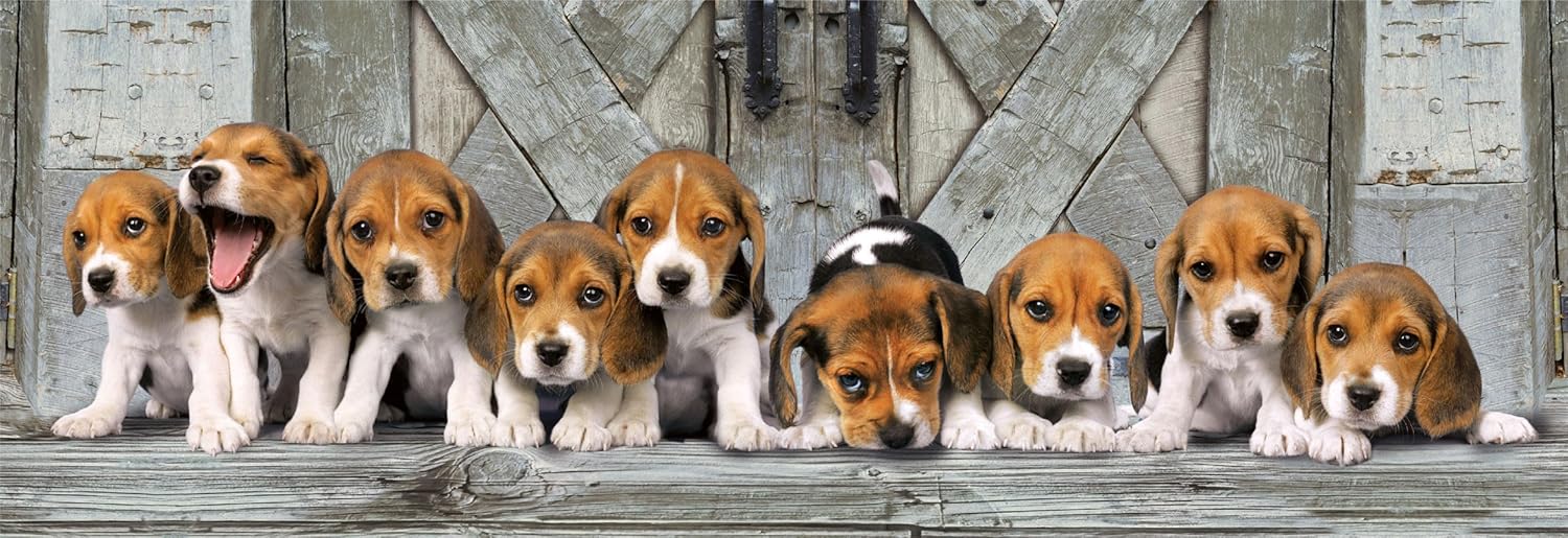 Clementoni Jigsaw Puzzle Collection - Beagles 1000 Pieces - Poster Included, Puzzle For Adults 14-99 Years, Gift For Men/Women, Dog, Animal, Made In Italy, 39869