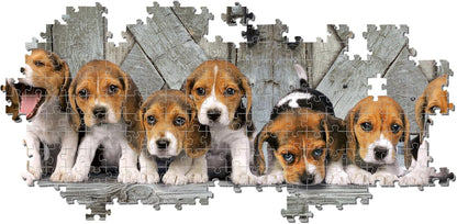 Clementoni Jigsaw Puzzle Collection - Beagles 1000 Pieces - Poster Included, Puzzle For Adults 14-99 Years, Gift For Men/Women, Dog, Animal, Made In Italy, 39869