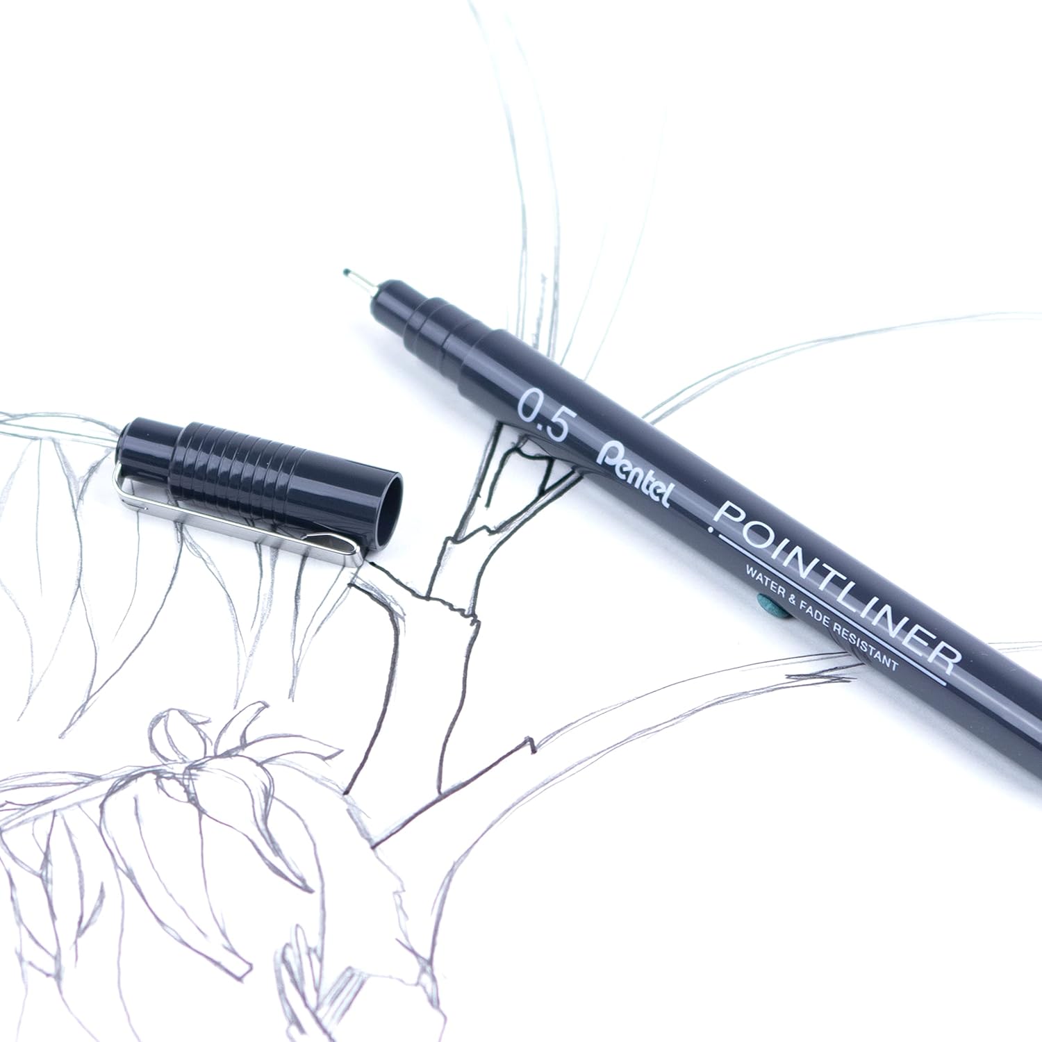 Pentel P/liner Pigmt Line 0.5 Blk 12