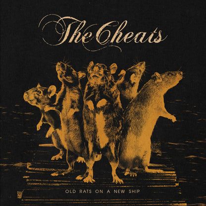 Old Rats On A New Ship