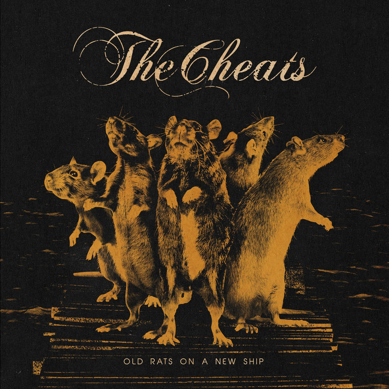 Old Rats On A New Ship