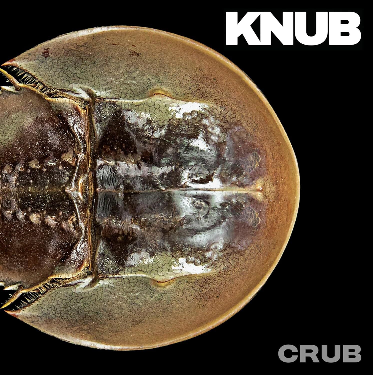 Crub