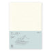 Designphil 15295006 Midori Notebook, MD Notebook, A5, Ruled A