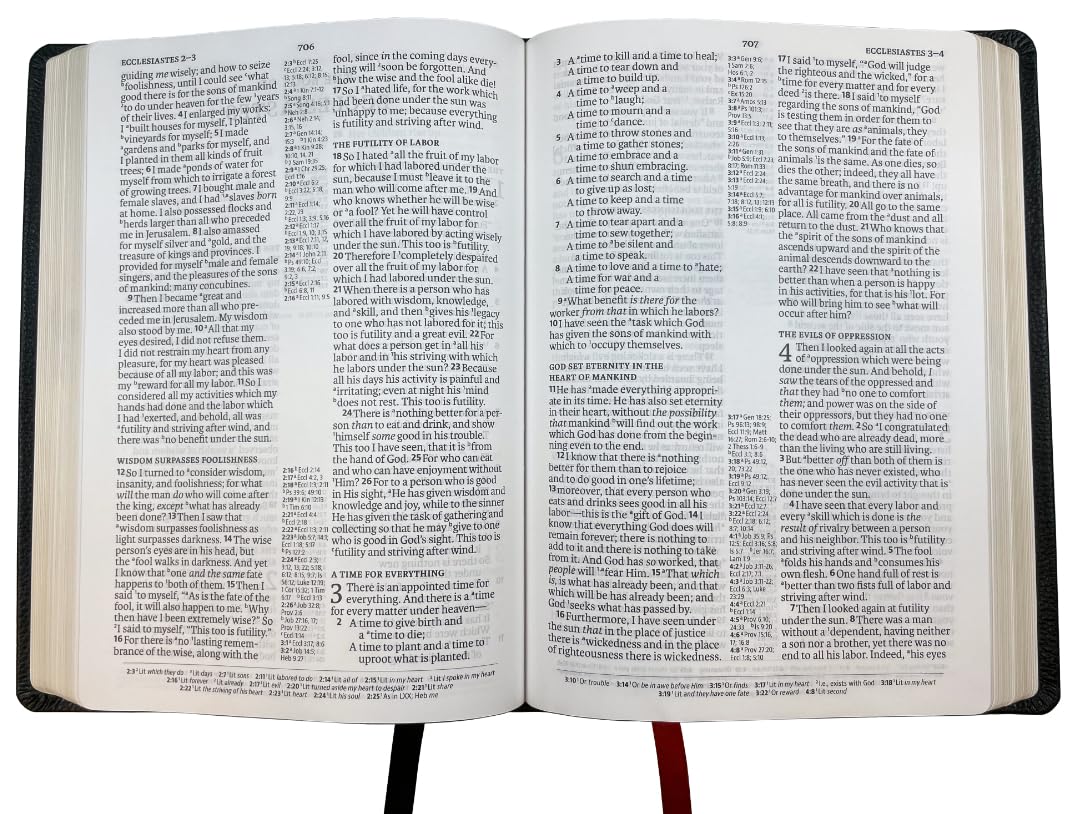 NASB 2020 Large Print Ultrathin Reference Bible, Black