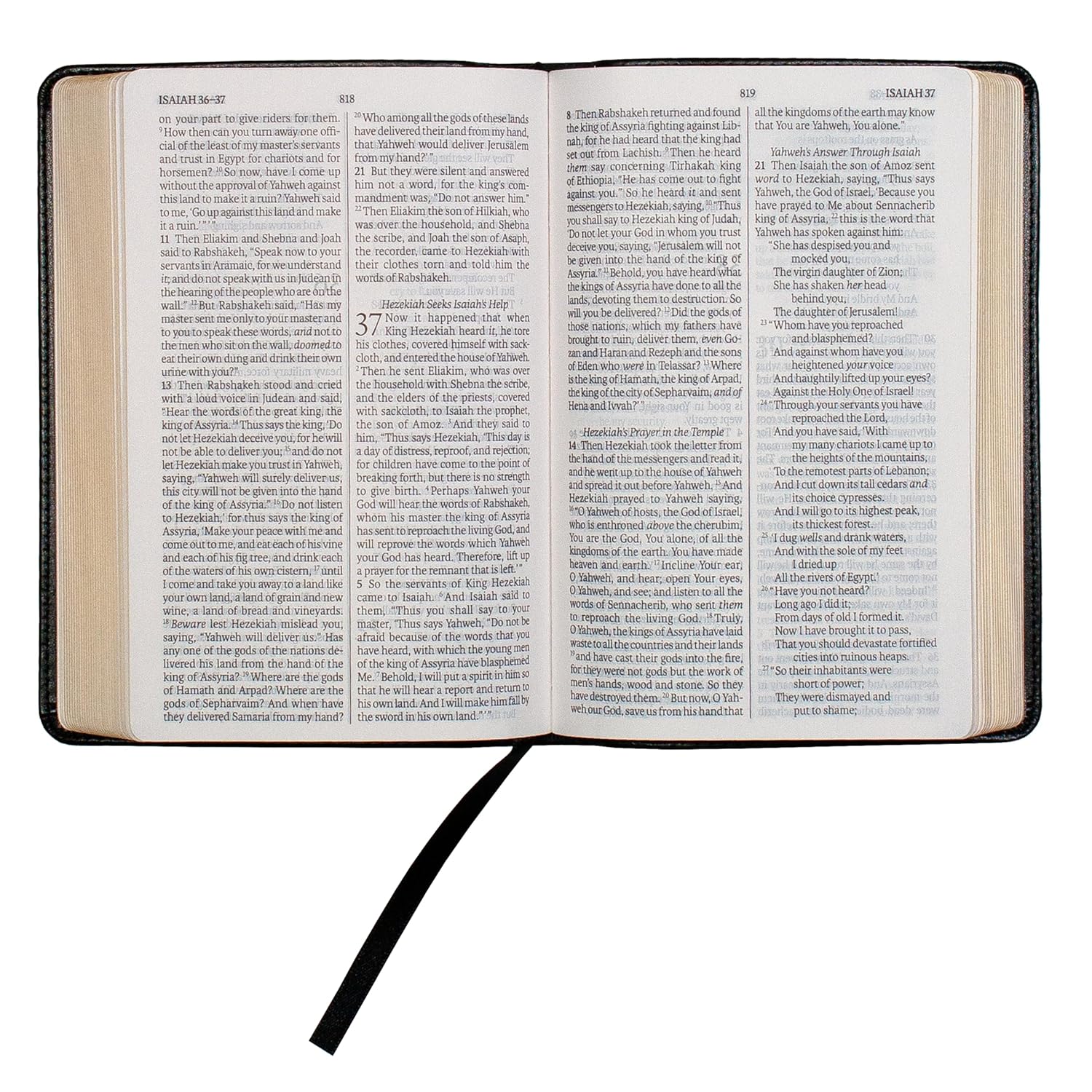 LSB Compact Bible, Black 66 Books Gold