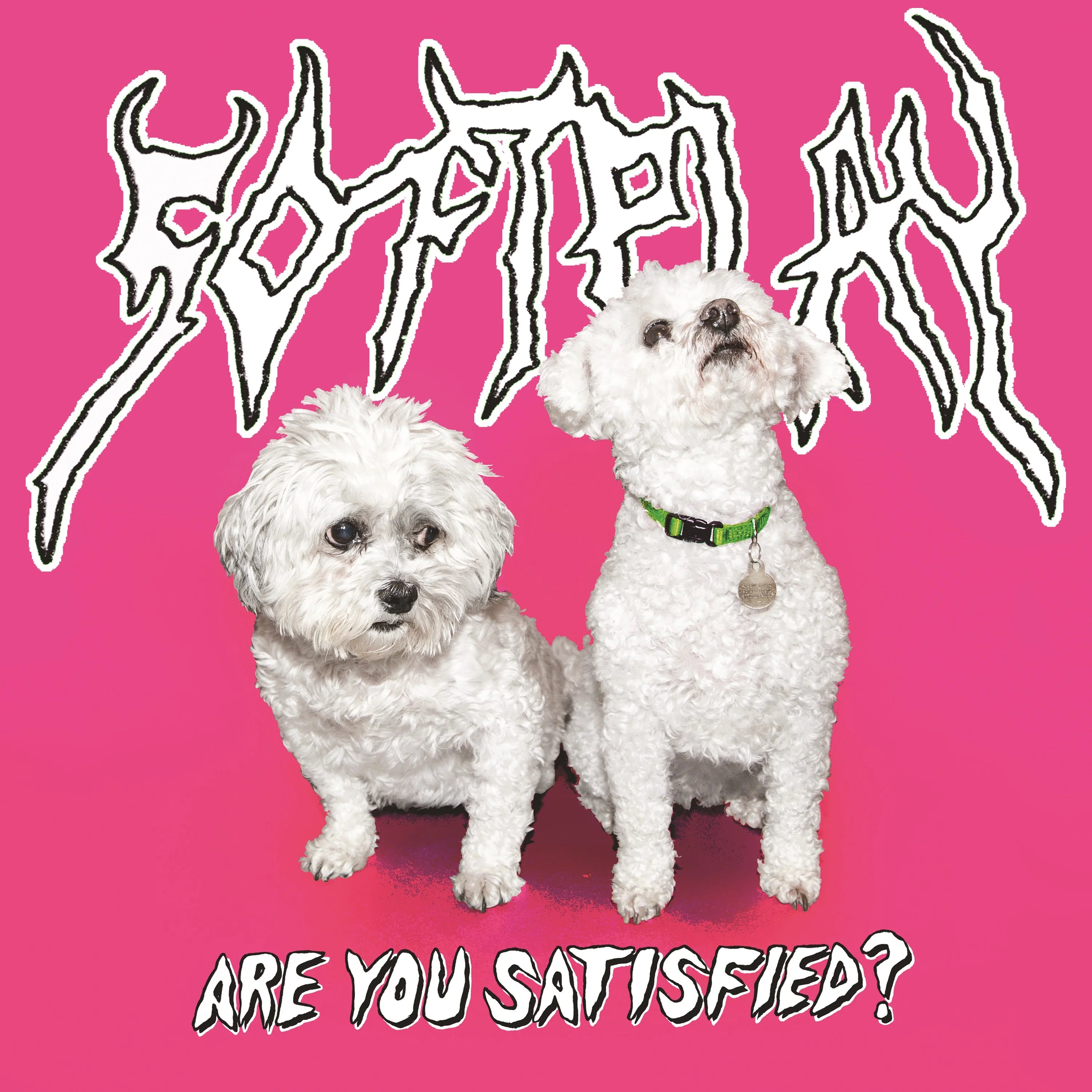 Are You Satisfied? (10th Anniversary Edition)