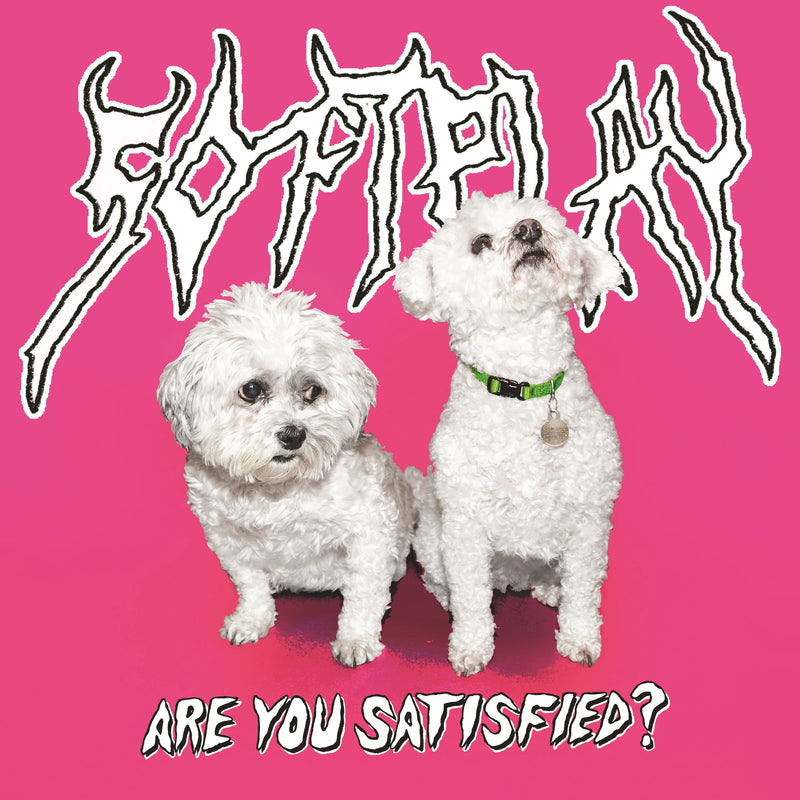 Are You Satisfied? (10th Anniversary Edition)