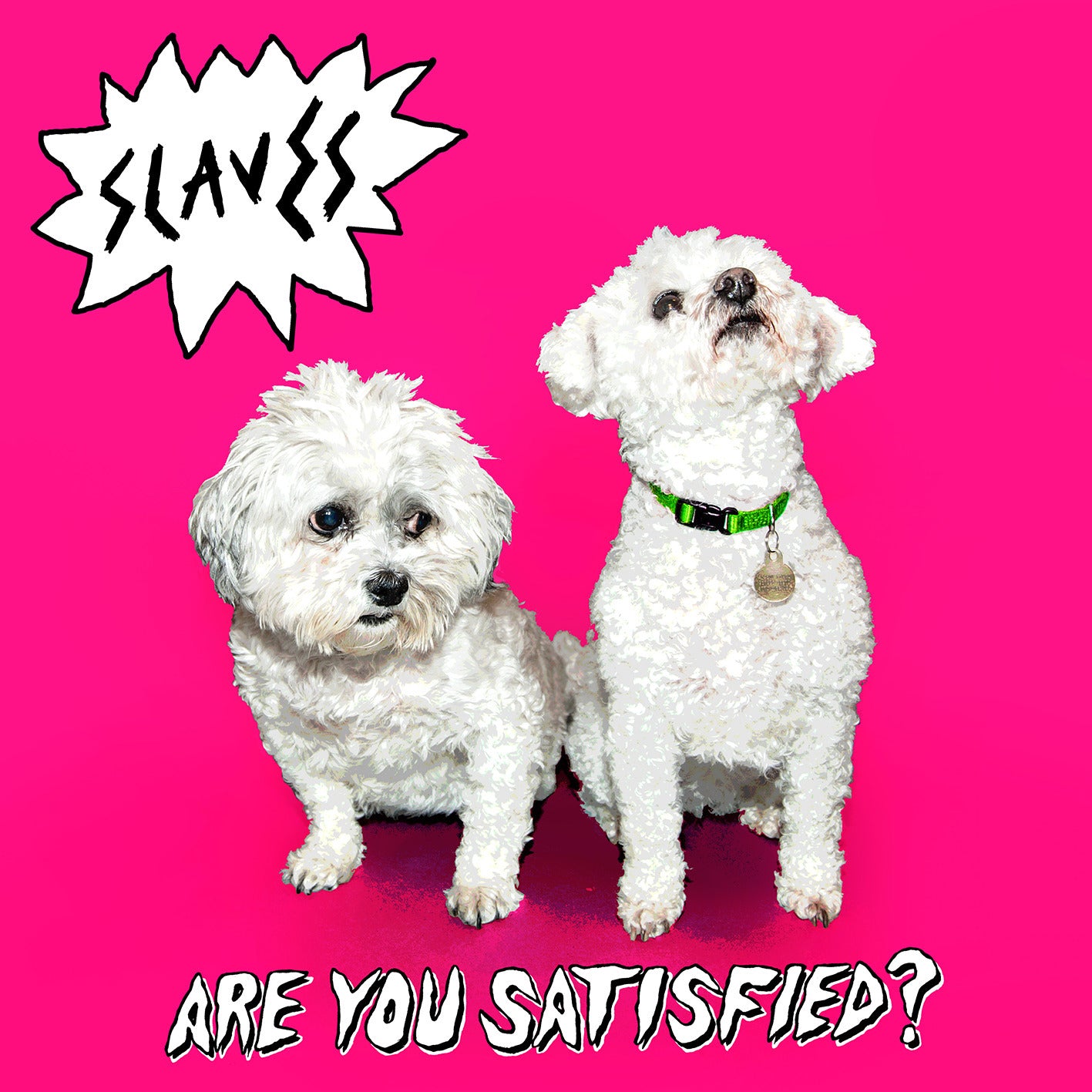 Are You Satisfied? (10th Anniversary Edition)