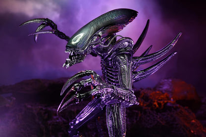 NECA Alien 17.8-cm Action Figure, Razor Claws Alien vs. Predator, Grey, Printed, 100% Plastic