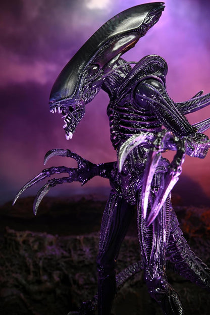 NECA Alien 17.8-cm Action Figure, Razor Claws Alien vs. Predator, Grey, Printed, 100% Plastic