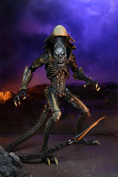 NECA - Figurine Alien VS Predator - Chrysalis Alien 18cm - 0634482517192