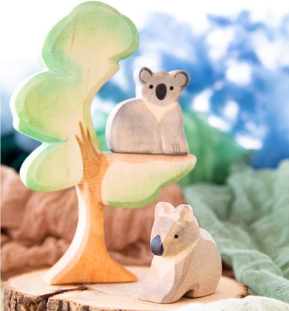 Eucalyptus boom