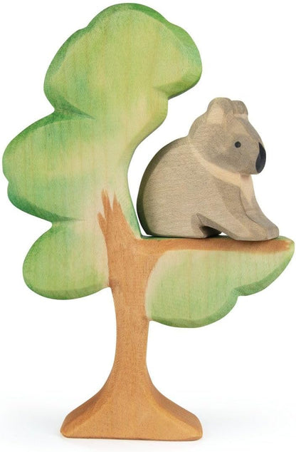 Eucalyptus boom