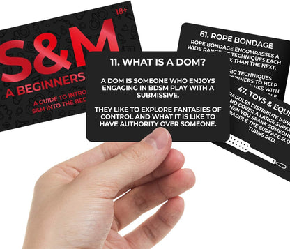 S&M Beginners Guide (Gift Republic)