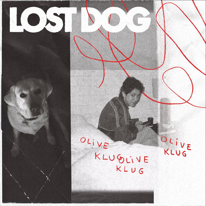 Lost Dog