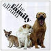 The Family Album