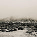 Mnemonic: Ambient Mosaic