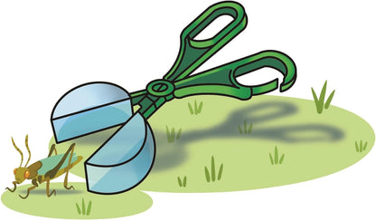 APPRENDISTA ENTOMOLOGO (NORDIC