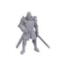 WizKids D&D Nolzur's Marvelous Miniatures: Special Edition Baldur's Gate 3 (Ulder Ravengard & Zevlor