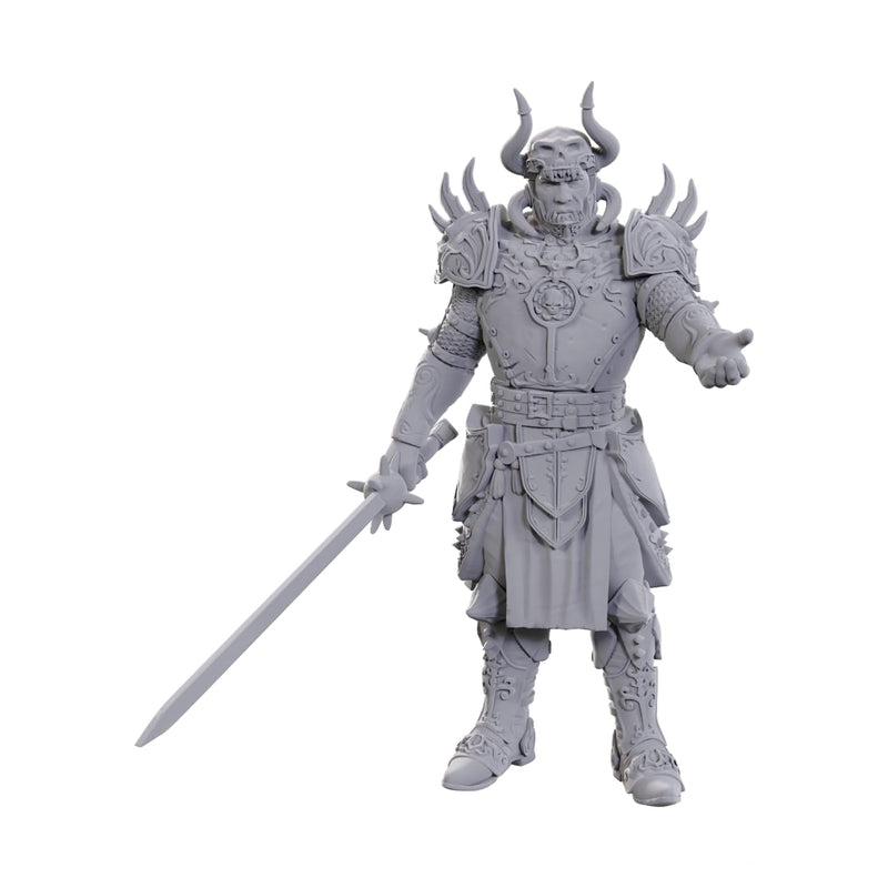 WizKids D&D Nolzur's Marvelous Miniatures: Special Edition Baldur's Gate 3 (Sarevok Anchev & Raphael