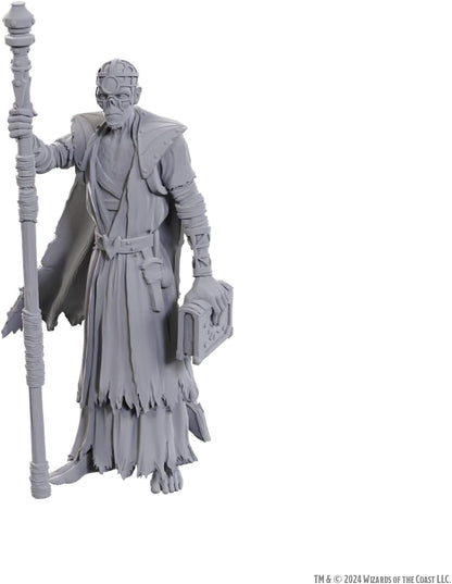 D&D Nolzur's Marvelous Miniatures: Special Edition Baldur's Gate 3 (Volo & Withers
