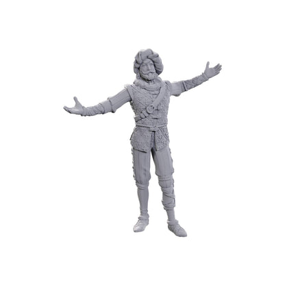 D&D Nolzur's Marvelous Miniatures: Special Edition Baldur's Gate 3 (Volo & Withers