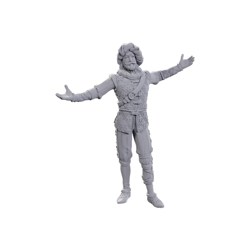D&D Nolzur's Marvelous Miniatures: Special Edition Baldur's Gate 3 (Volo & Withers
