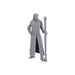 WizKids D&D Nolzur's Marvelous Miniatures: Special Edition Baldur's Gate 3 (Gale & Astarion