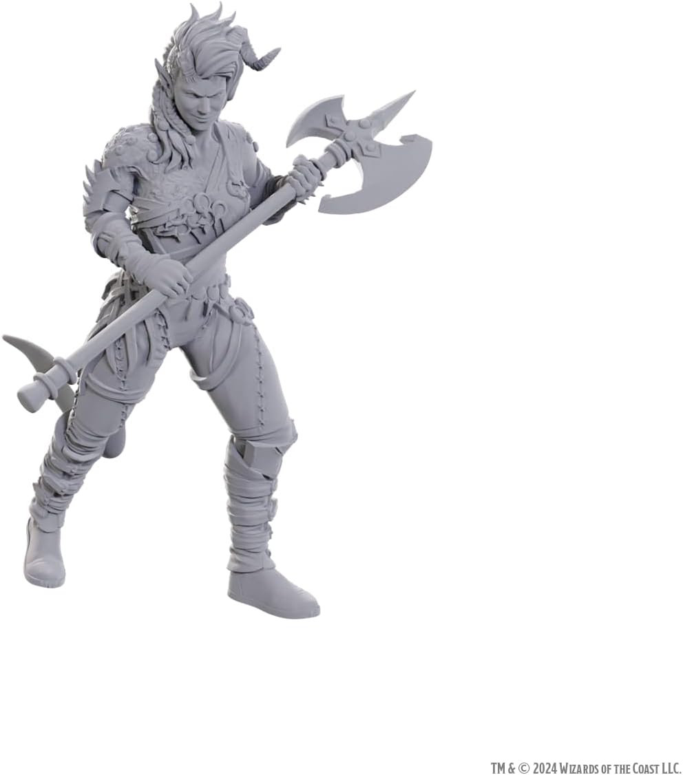 WizKids D&D Nolzur's Marvelous Miniatures: Special Edition Baldur's Gate 3 (Wyll & Karlach