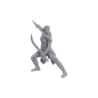 WizKids D&D Nolzur's Marvelous Miniatures: Special Edition Baldur's Gate 3 (Jaheira & Halsin