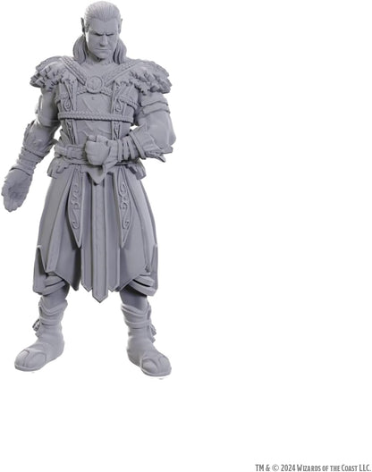 WizKids D&D Nolzur's Marvelous Miniatures: Special Edition Baldur's Gate 3 (Jaheira & Halsin