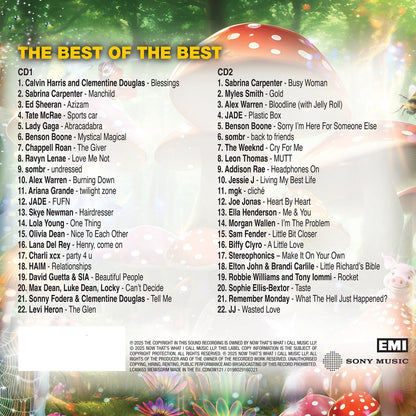 NOW That's What I Call Music! 121