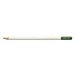 Tombow coloured pencil cactus green, wax-based lead with high colour brilliance, artist's colour pencil for professional artists an beginners