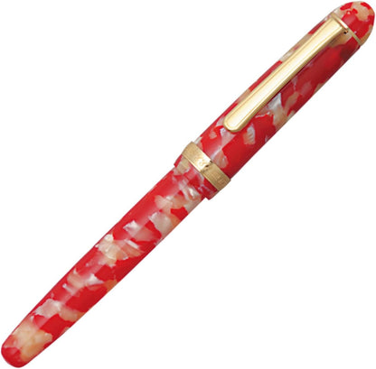 Platinum Fountain Pen, Fountain Pen, Celluloid, Fine Point, Kinkyo, PTB-35000#24-2