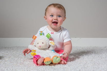 Taggies Lovey Soft Toy, 30-Centimetres, Sherbet Lamb