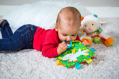 Mary Meyer 40034 Toy with Baby Paper & Squeaker, Sherbet Lamb
