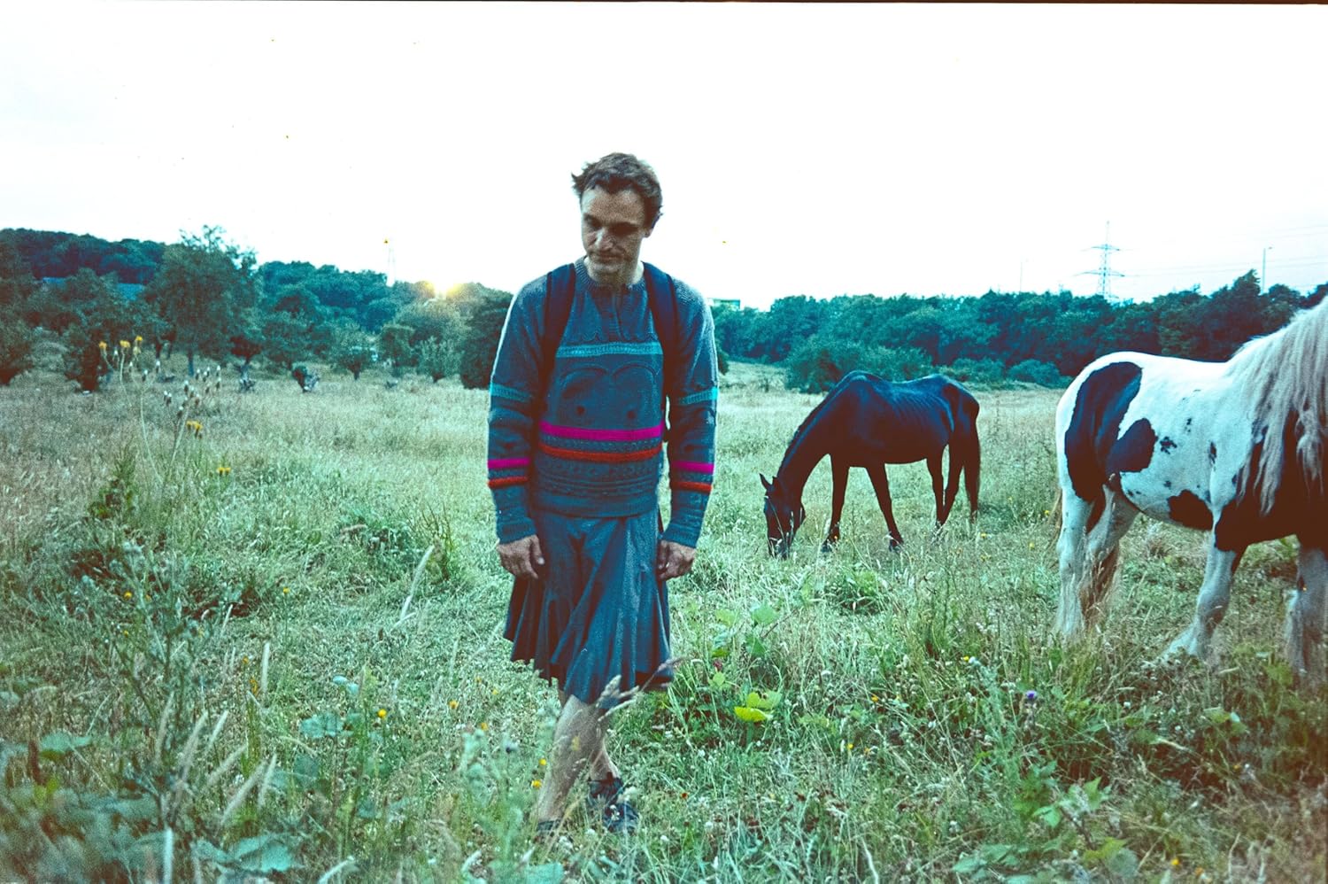 ARNOLD, ANDREA - BIRD