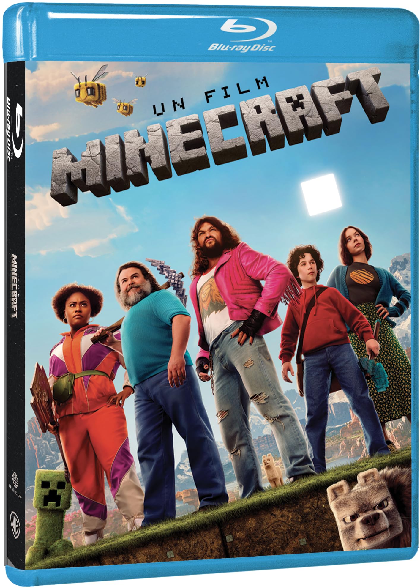 UN FILM MINECRAFT ( Blu - Ray